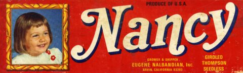Nancy 